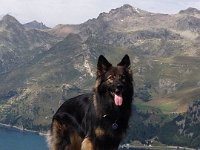 Ki-Shani